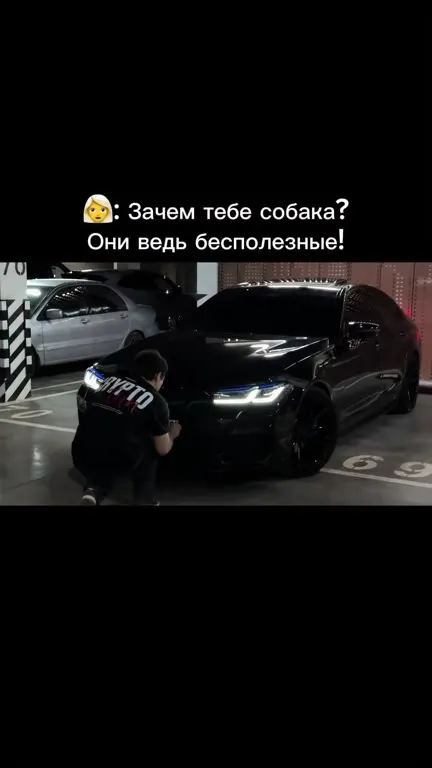 Собака бесполезна, деньги полезны