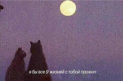 Все 9 жизней с тобой