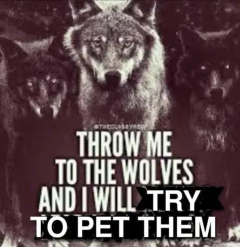 Throw Me to the Wolves