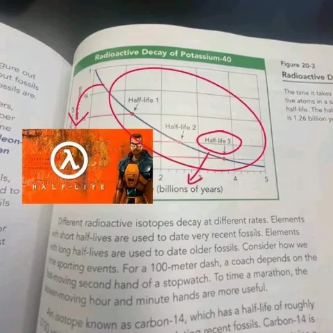 Half-Life Means Half-Life