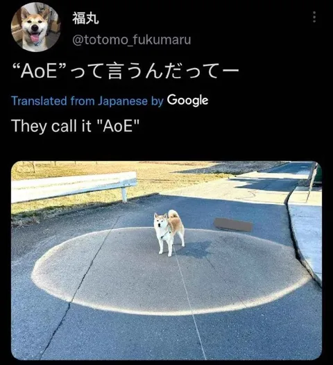 AoEって言うんだってー