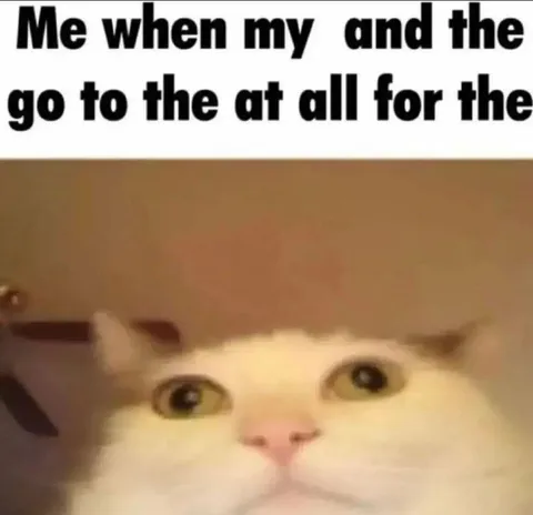 Confused Cat With Missing Context