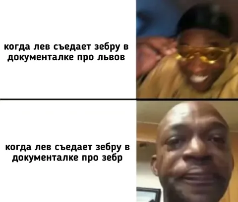 Лев смотрит документалку про зебр