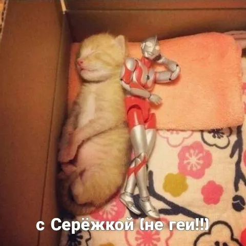 С Серёжкой не геи