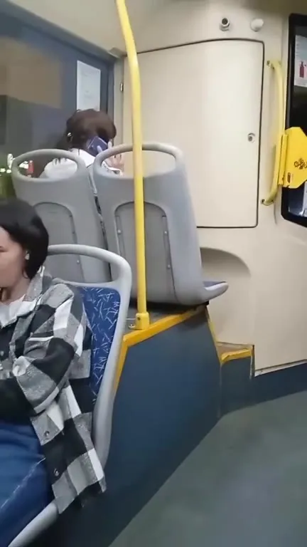 Скандал в автобусе