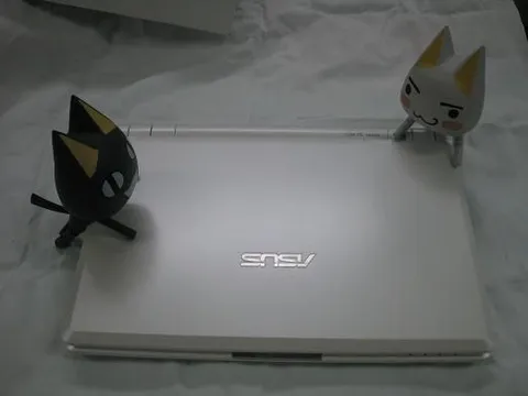 Коты делят ноутбук