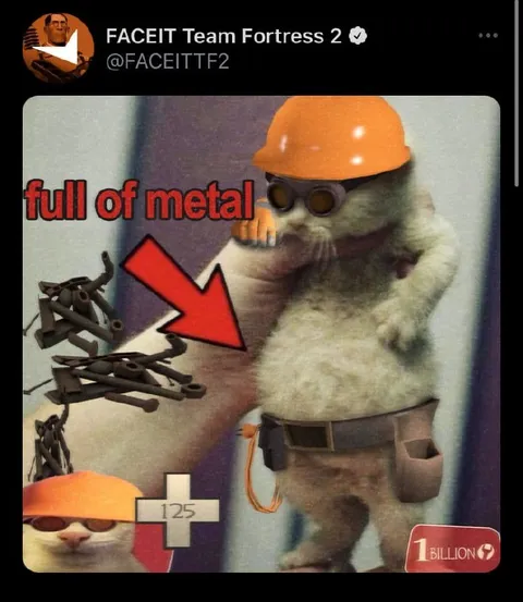 Engineer cat full of metal