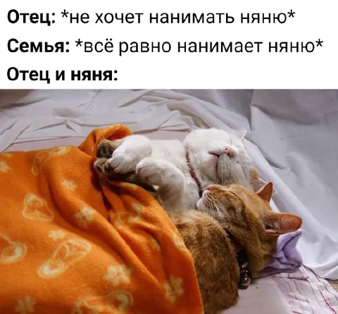 Отец и няня спят вместе