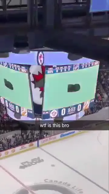What Is This Bro at the Hockey Game