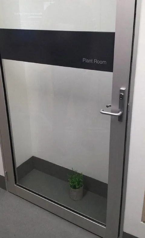 The Plant Room Has One Plant