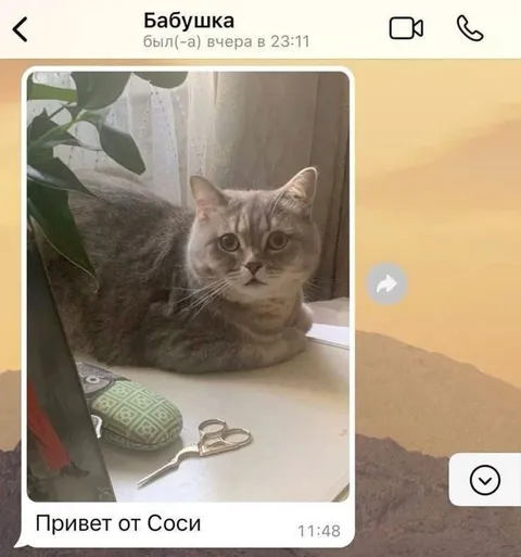 Привет от Соси