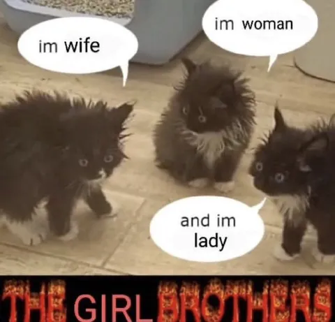 Cats Say I'm Her Girlfriend