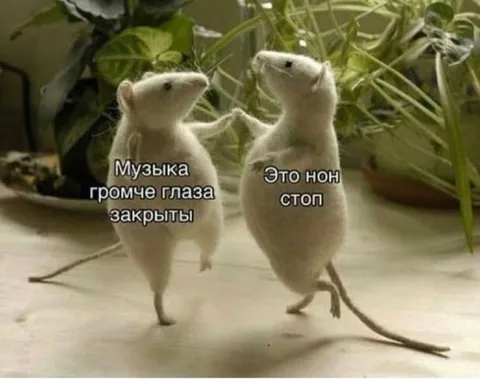 Музыка громче глаза закрыты
