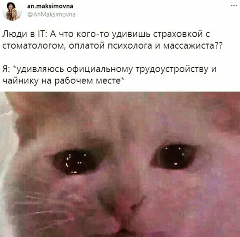 Удивление официальному трудоустройству