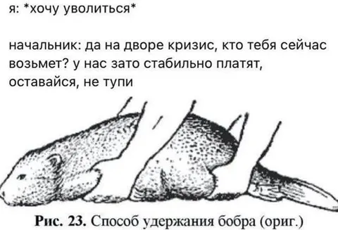 Способ удержания бобра на работе