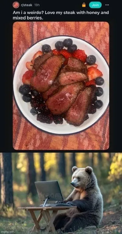 Bear Judges Steak with Berries
