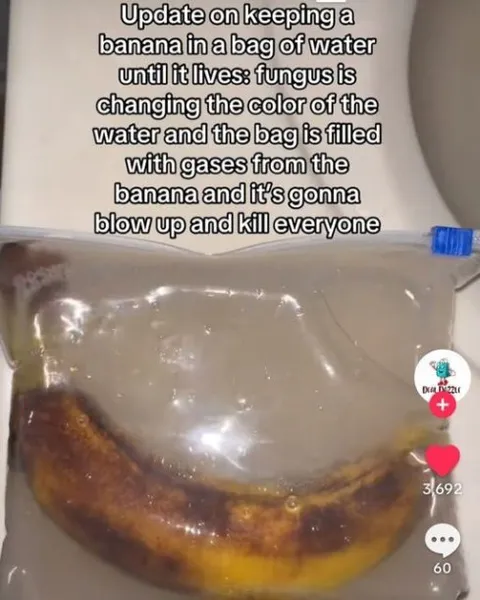 Exploding Banana Water Experiment