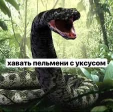 Хавать пельмени с уксусом