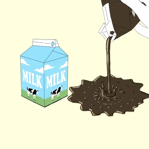Cat Coffee Milk Transformation