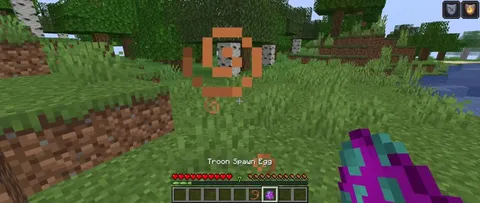 Minecraft Zipper Transformation