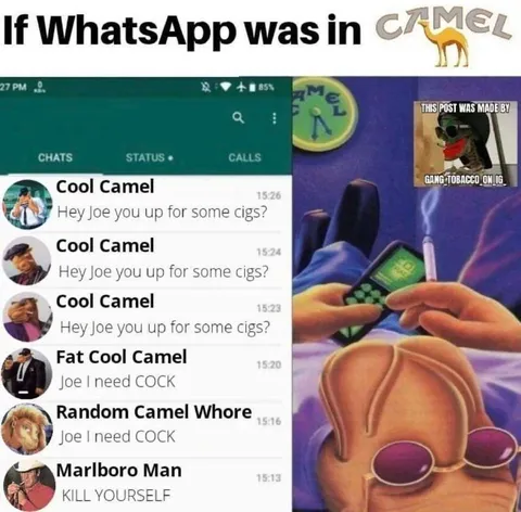 If WhatsApp Was in Camel