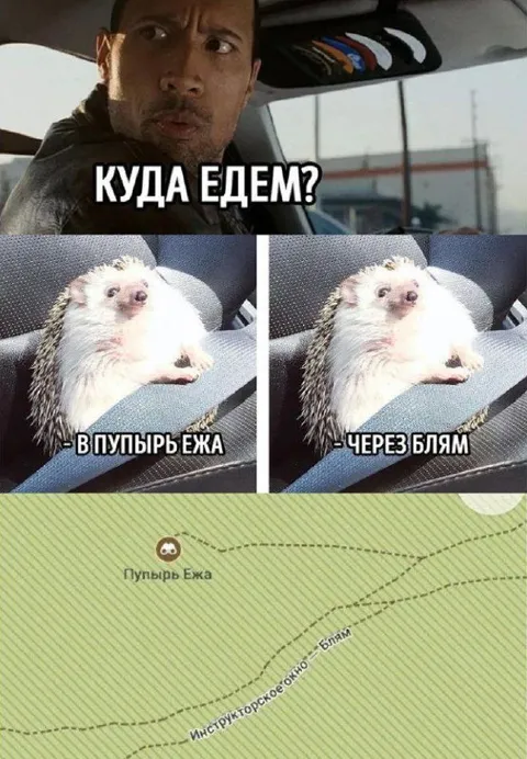 Куда едем через Блям