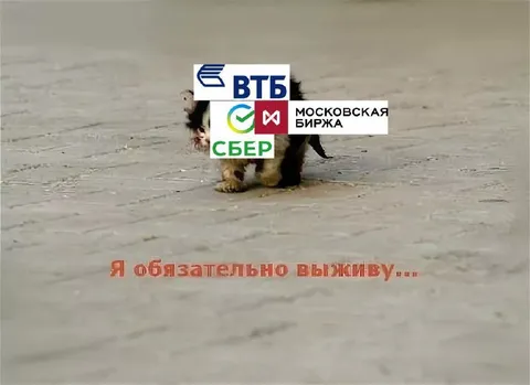 Я обязательно выживу
