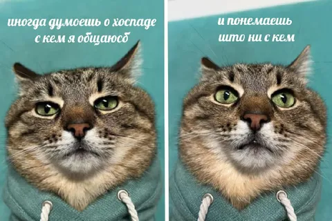 Когда понимаешь, что ни с кем