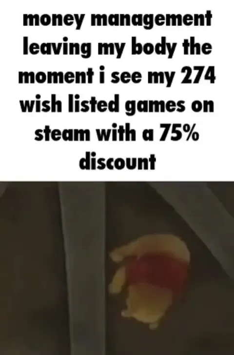 Steam Sale Money Management