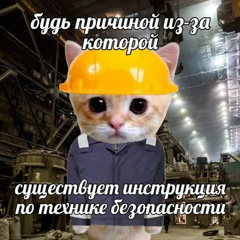 Кот — причина техники безопасности
