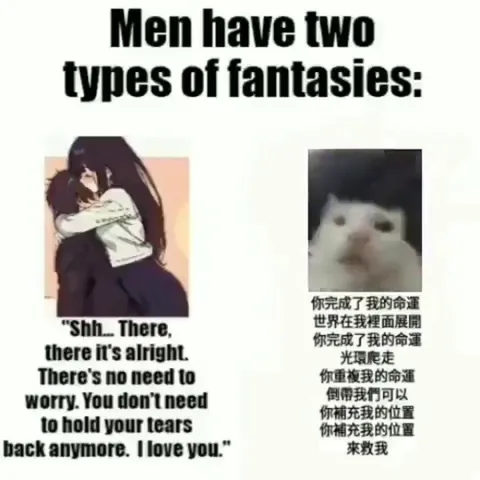 Men Have Two Types of Fantasies