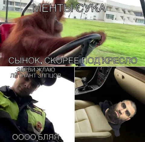 Орангутан за рулём и мент