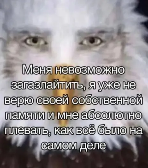 Невозможно загазглить