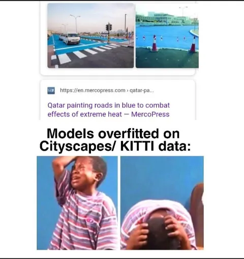 Models Overfitted on Cityscapes Data