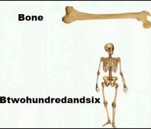 Bone and Skeleton Wordplay