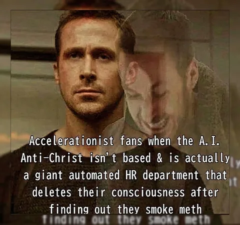 Accelerationist Fans Face Reality