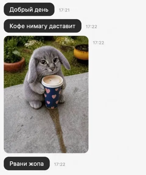 Кот принёс кофе бабушке