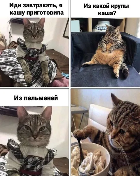 Каша из пельменей