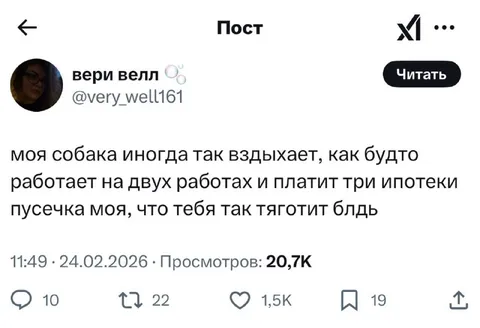 Собака тянет три ипотеки