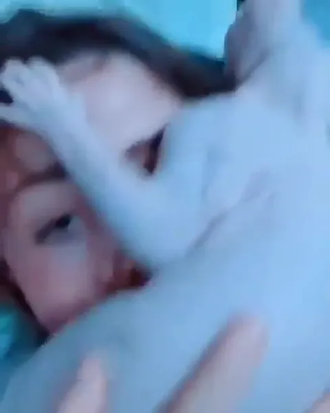 Кот пугает спящую хозяйку