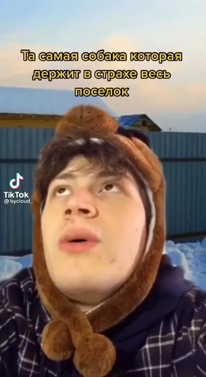 Собака, которая держит посёлок в страхе