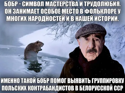 Бобр выявил польских контрабандистов