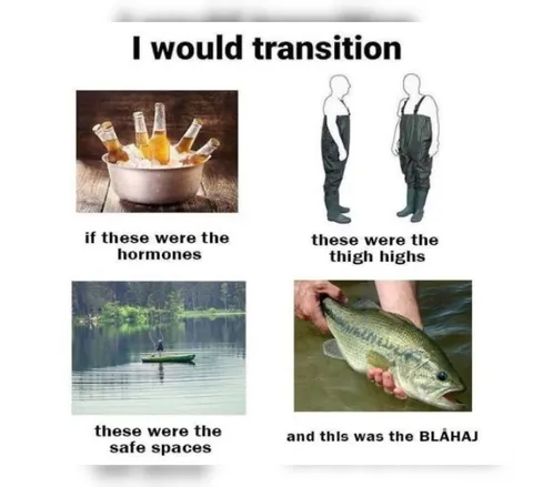I Would Transition Meme
