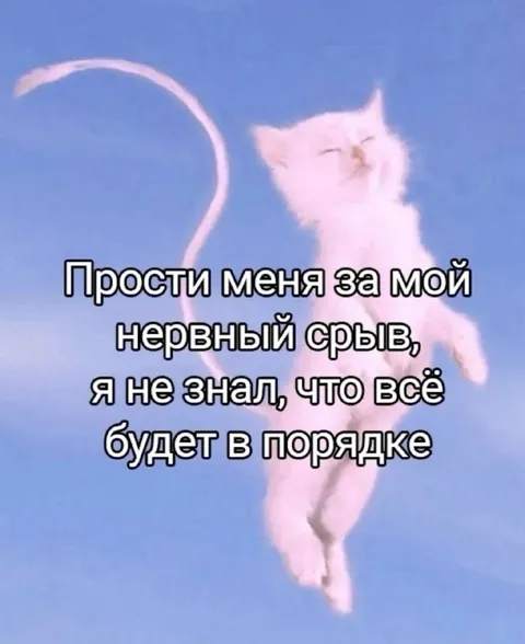 Котёнок после нервного срыва