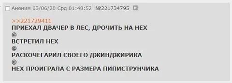 Двачеры в лесу и Нех