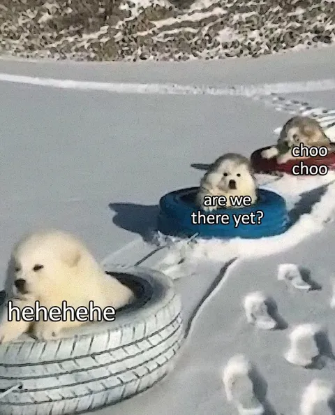 Seal Train Ride