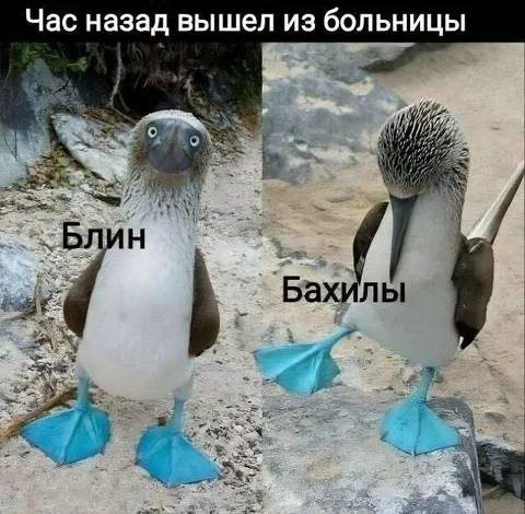 Вышел из больницы в бахилах