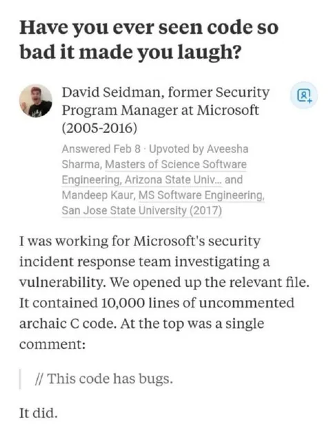 The Code Has Bugs