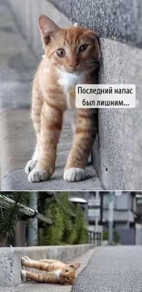 Последний напас был лишним