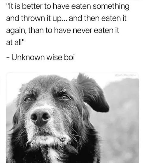 Unknown Wise Dog Wisdom